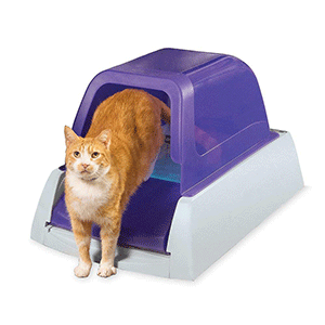 PetSafe ScoopFree Best Automatic Litter Box